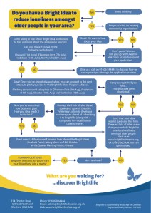 Bright Ideas flowchart infographic